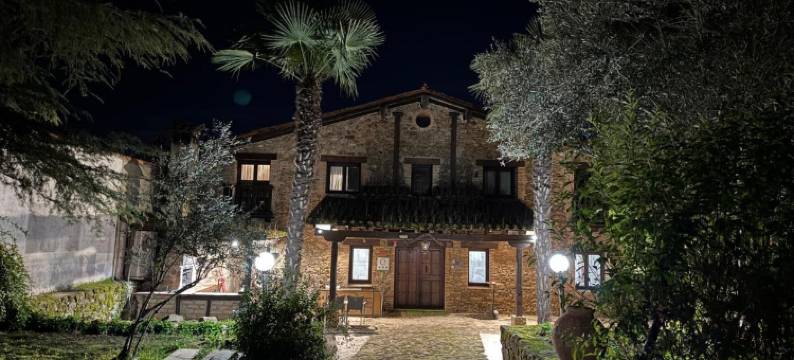 卡索纳酒店(La Casona de Jaraiz)图片