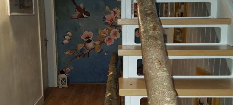 公寓(Zucht- Und Ausbildungsstall Rubly)图片