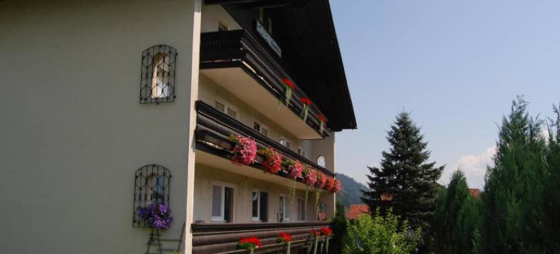 索勒特酒店(Hotel Sonnleitn)图片