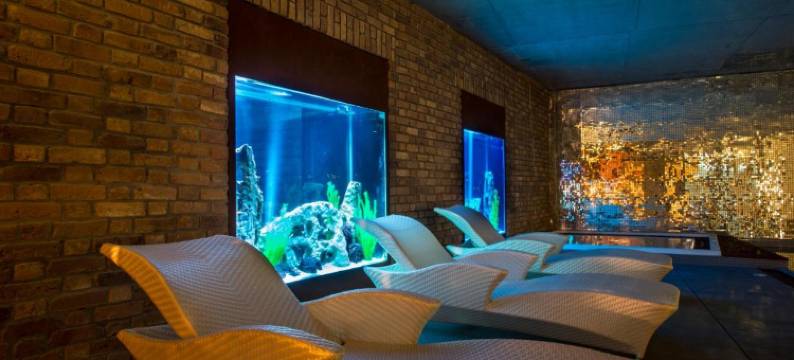 阿尔特酒店(Hotel Alter)图片