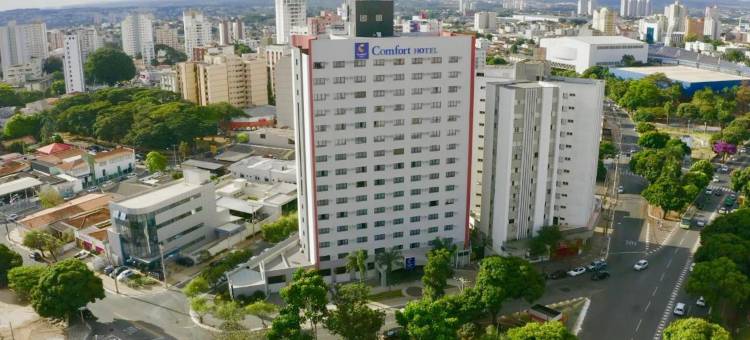 戈亚尼亚舒适酒店(Comfort Hotel Goiânia)图片