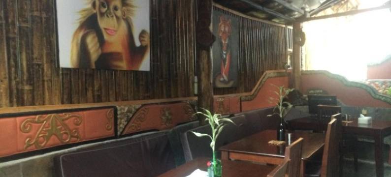 猩猩酒店(Hotel Orangutan)图片