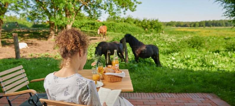 维森城堡酒店(Schloss Wissen)图片