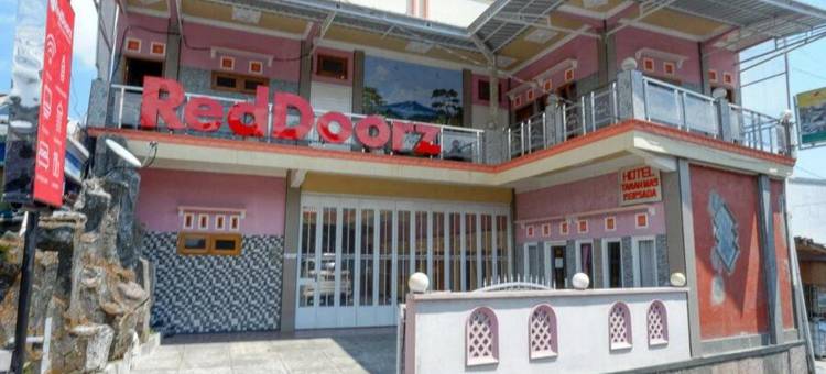 坦比迪昂旅游村附近的红门(RedDoorz Near Desa Wisata Tambi Dieng)图片