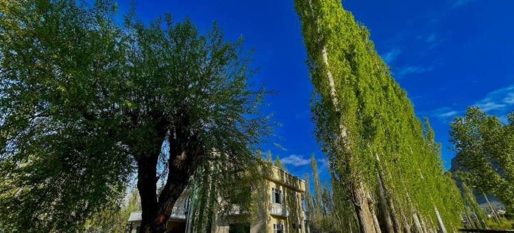 斯卡杜萨拉耶酒店及度假村(Skardu Saraye Hotel & Resort)图片