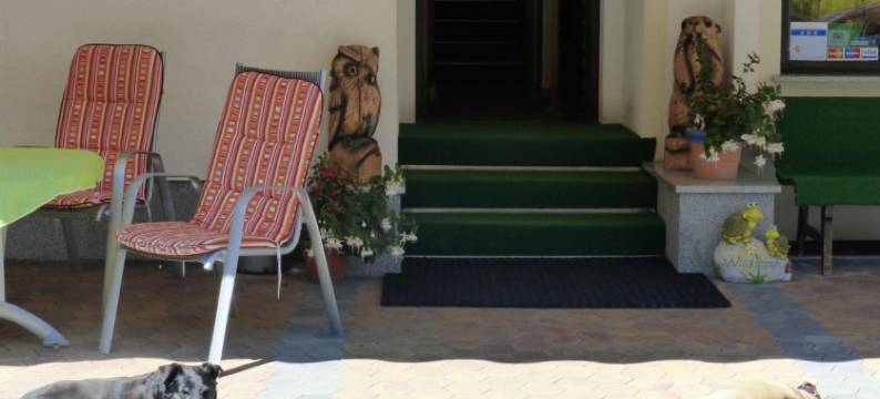 高山玫瑰旅馆(Pension Alpenrose)图片