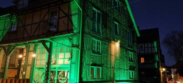 Pension Alte Scheune旅馆(Pension Alte Scheune)图片