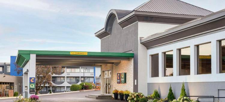 金斯顿中心舒适套房酒店(Comfort Suites Kingston Central)图片