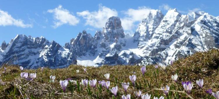 Hotel Edelweiss图片