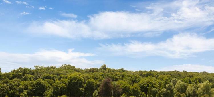 波尔多东科林特尔之家酒店(Logis Hôtel Corintel Bordeaux Est)图片