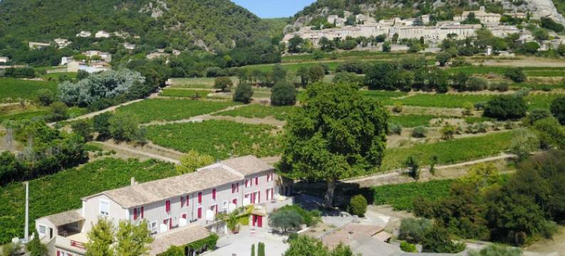 卡巴斯庄园的旅馆(Hotellerie du Domaine de Cabasse)图片