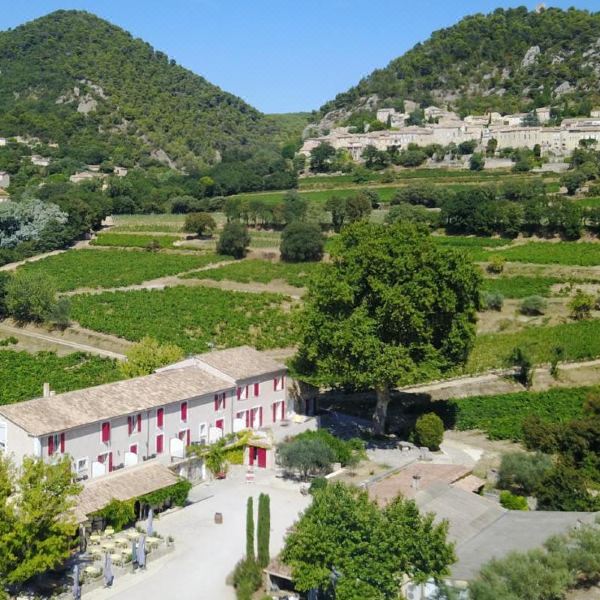 卡巴斯庄园的旅馆(Hotellerie du Domaine de Cabasse)图片