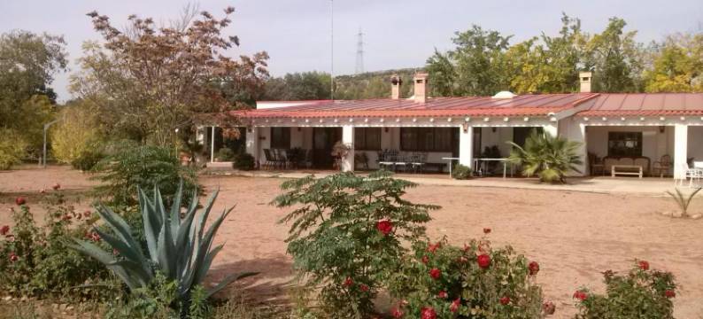 农业旅游拉芬卡(Agroturismo la Finka)图片