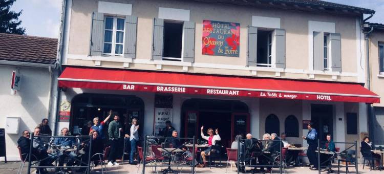 杜尚博览会酒店(Logis Hotel du Champ de Foire)图片