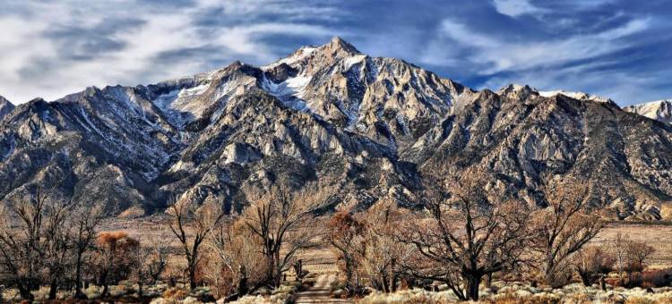 东部西拉摩托车旅馆(Eastern Sierra Motor Lodge)图片
