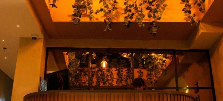 奏鸣曲44号洛雷莱斯酒店(Sonata 44 Hotel Laureles)图片
