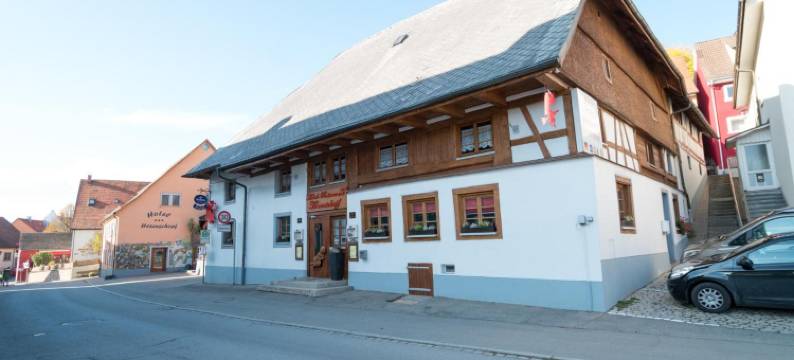 赫森绍普夫疗养酒店&餐厅(Wellnesshotel & Restaurant Hexenschopf)图片