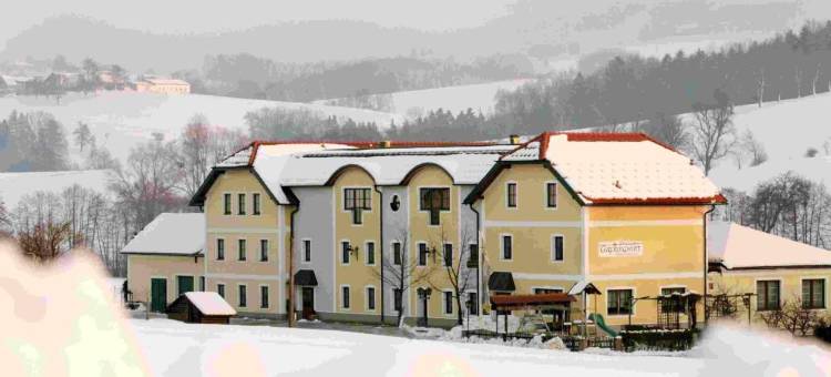 戈福瑞沃特兰德酒店(Landhotel Gafringwirt)图片