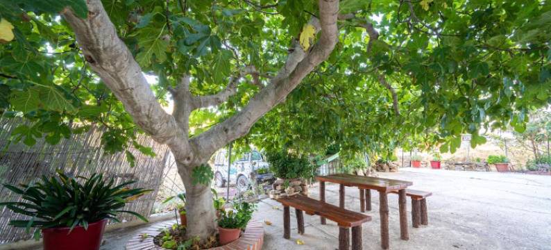 威斯塔席耶拉青年旅舍(Hostal Vista a la Sierra)图片