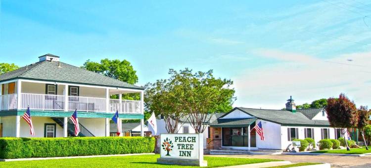 皮齐特瑞酒店(Peach Tree Inn & Suites)图片