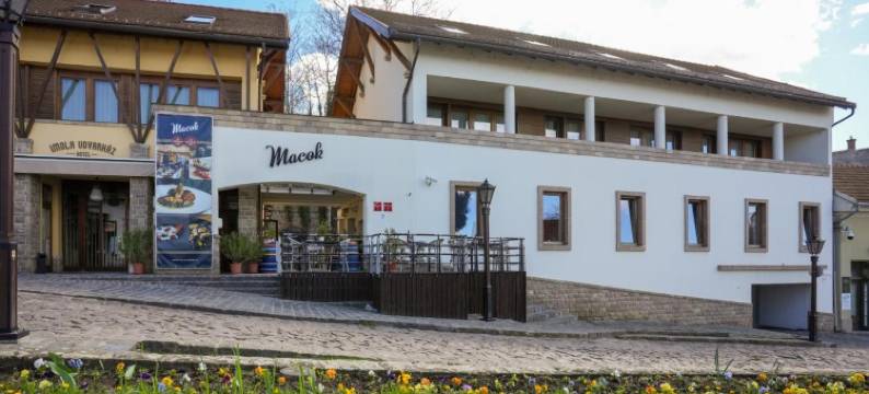 伊莫拉乌德法尔哈兹酒店(Imola Udvarház Dessert Hotel)图片