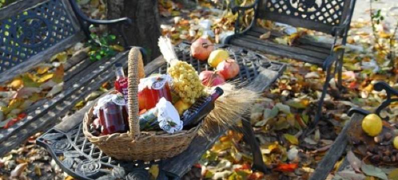 Guesthouse Petrino图片