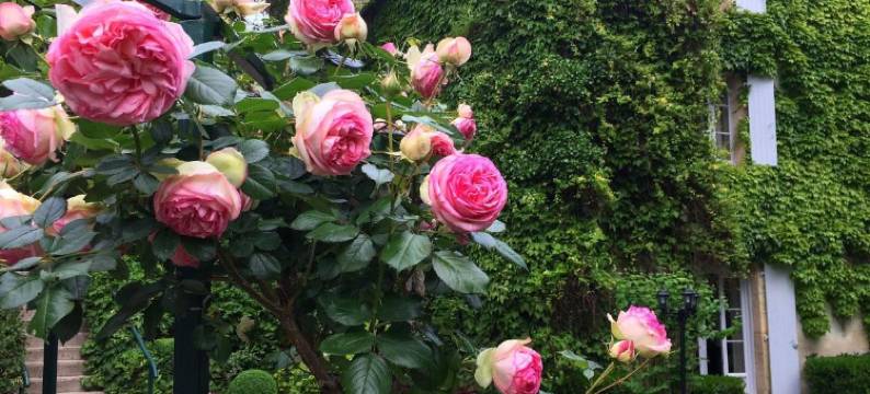 默林比奥恩酒店(Le Moulin de La Beune)图片