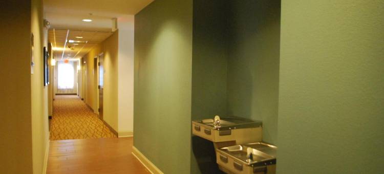 克林特坞舒眠酒店(Sleep Inn & Suites Clintwood)图片