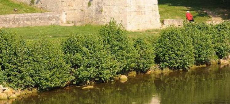 塞尔吉圣克里斯托弗宜必思快捷酒店(Ibis Budget Cergy St Christophe)图片