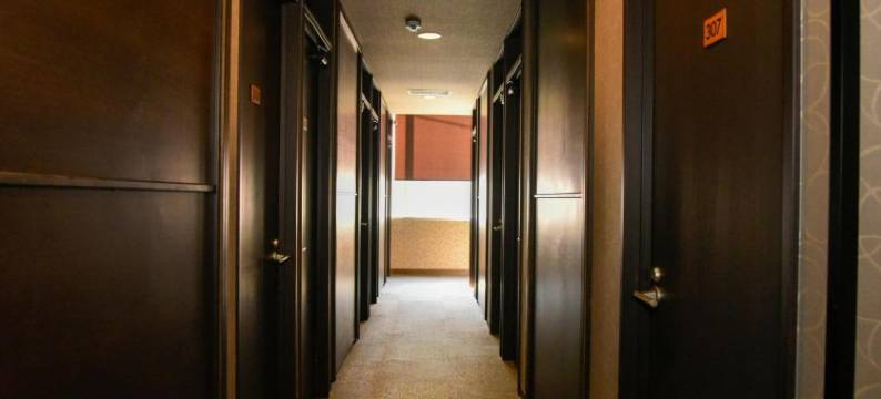 棕榈天文馆酒店(Hotel Palms Tenmonkan)图片