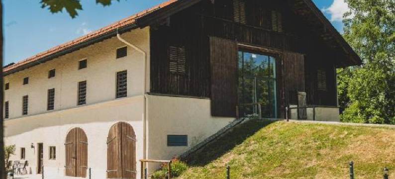 兰德阿尔特关卡酒店(Landhotel Alte Zollstation- Historical Building)图片