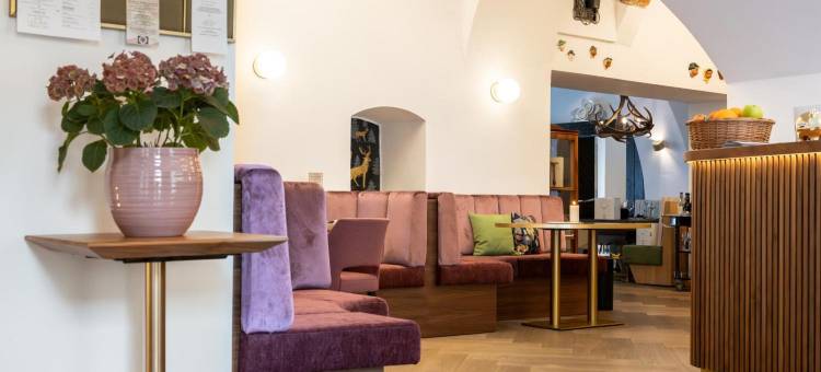 精品酒店金鹿(Boutiquehotel Zum Goldenen Hirschen)图片