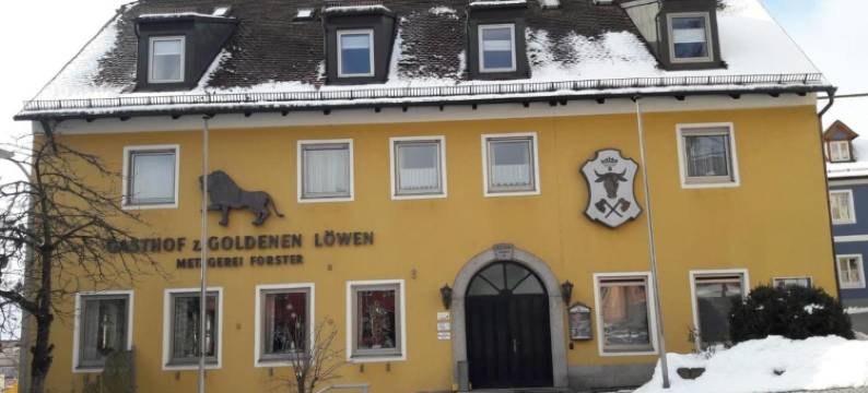 黄金鲁汶酒店(Landgasthof Zum Goldenen Löwen)图片