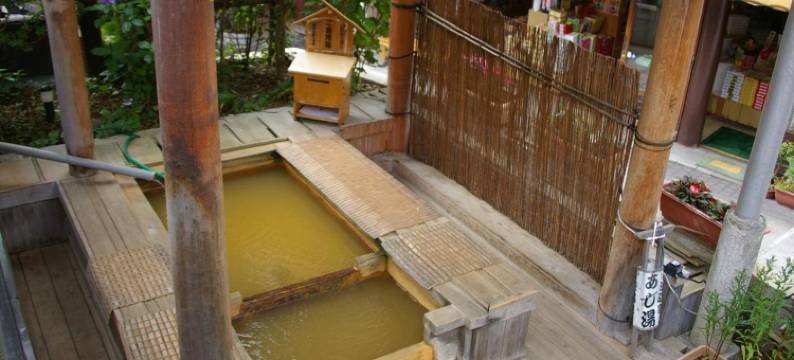 Nozaru青年旅馆(Nozaru Onsen Hostel)图片