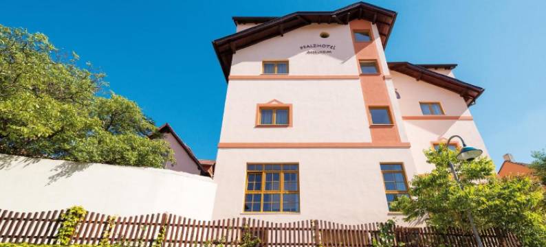 阿塞汉姆普法索酒店(Pfalzhotel Asselheim)图片