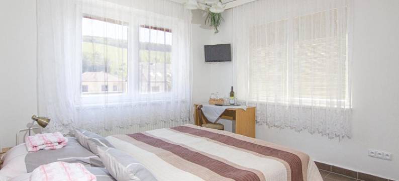 尤克劳馥酒店(Penzion U Kraliku)图片