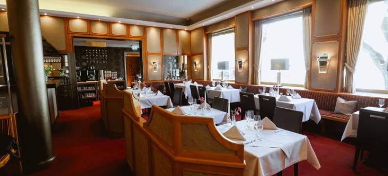 特罗因斯泰因公园酒店(Parkhotel Traunstein)图片