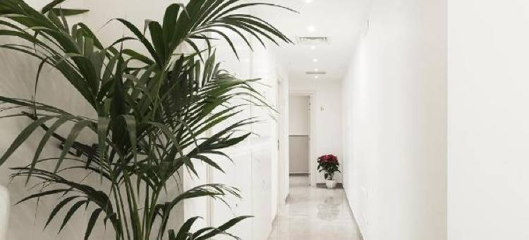 梵蒂冈豪华旅馆(Vaticano Luxury Guest House)图片