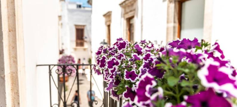 圣乔瓦尼之家(Domus San Giovanni)图片