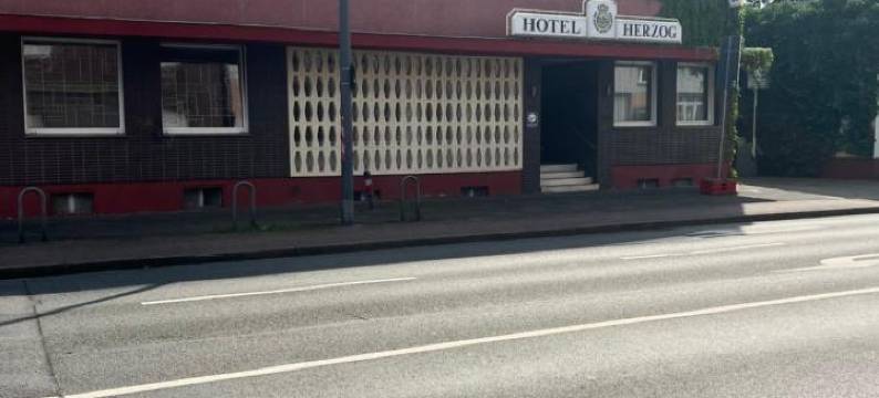 赫尔佐格酒店(Hotel Herzog)图片