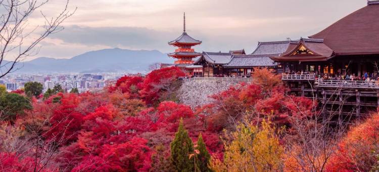 STITCH HOTEL Kyoto图片