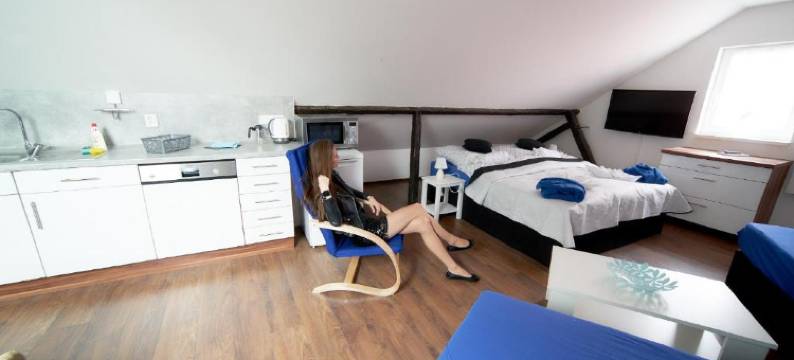 蓝星家庭酒店(Bluestars Family)图片