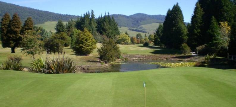 彩虹汽车旅馆(Rainbow Motel & Hot Pools)图片