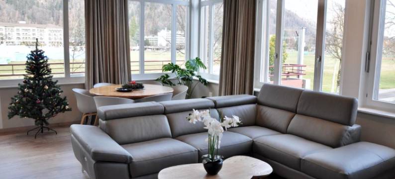 因特拉肯阁楼酒店(The Loft Interlaken)图片