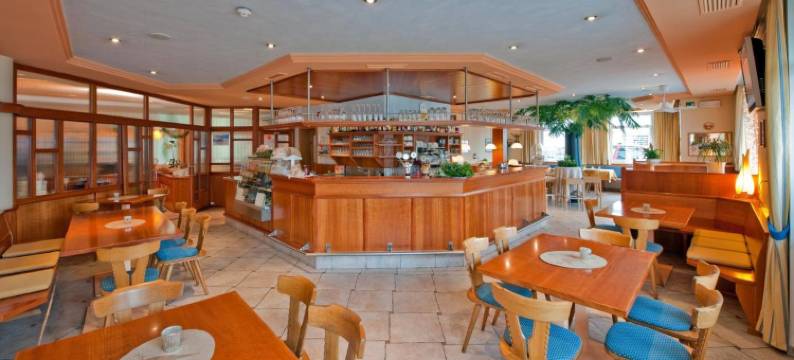 坦内霍夫酒店(Hotel Tannerhof)图片