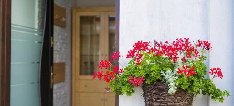 Apartamenty na Warszawskiej图片