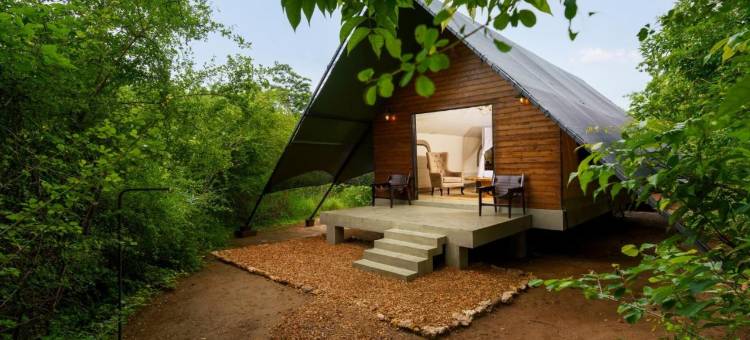 马基尼丛林营地(Makini Bush Camp, Yala)图片