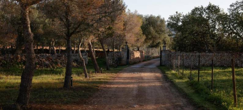 安格洛图里斯莫芬卡松皮拉斯旅馆(Hotel Agroturismo Finca Son Pieras)图片