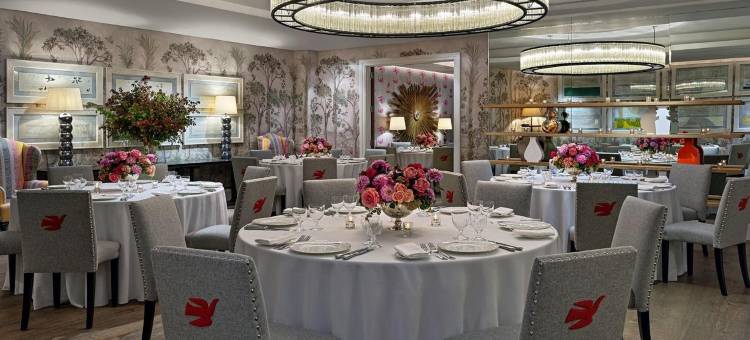 克罗斯比街酒店Crosby Street Hotel(美国)(Crosby Street Hotel)图片