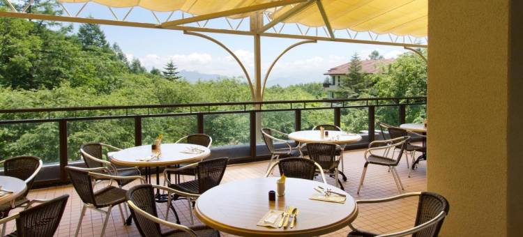 八岳高原酒店(Yatsugatake Kogen Lodge)图片